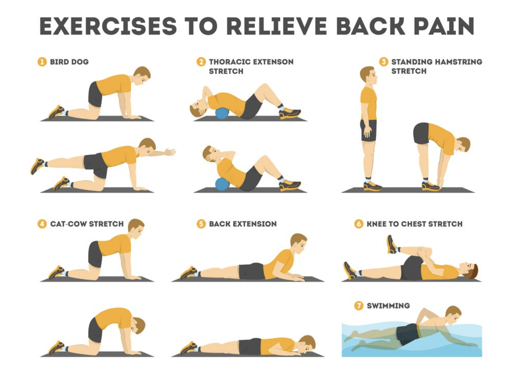 Lower back pain? Here are few exercises that can help Kay Spears